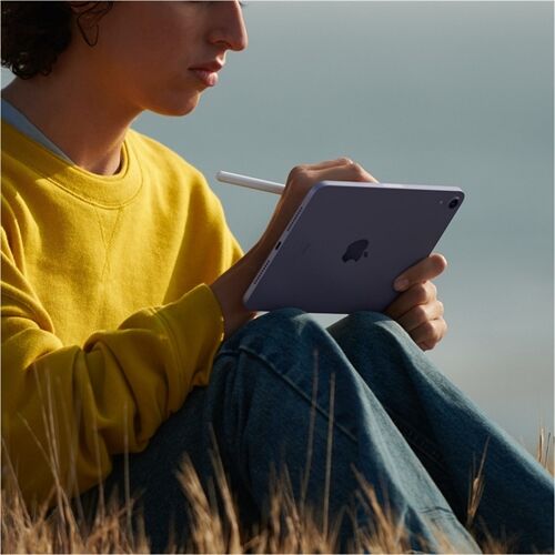 Apple iPad mini (64GB) WiFi MK7M3FD/A 6. Gen