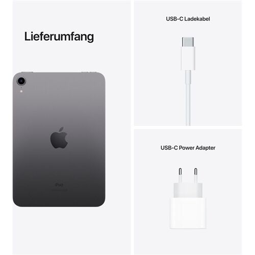 Apple iPad mini (64GB) WiFi MK7M3FD/A 6. Gen
