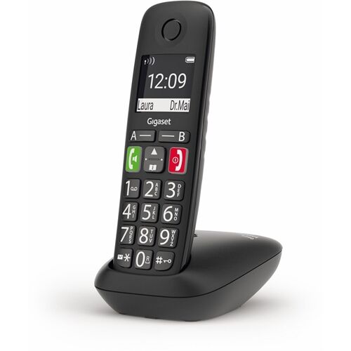 Gigaset E290