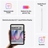 Apple iPad mini (256GB) WiFi