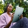 Apple iPad Air 11" (128GB) WiFi MC9Y4TY/A