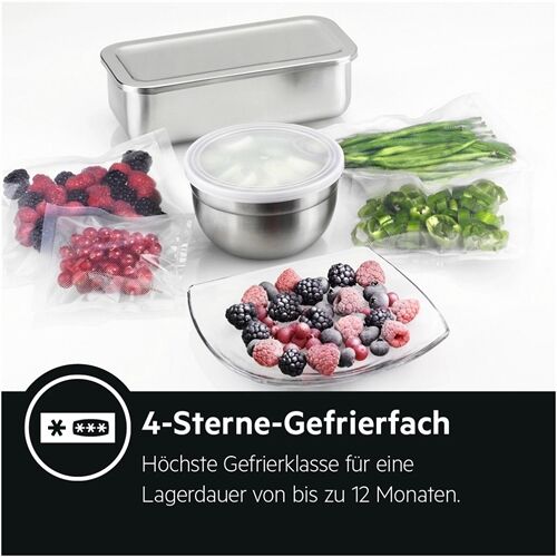 AEG Santo RDB424E1AX