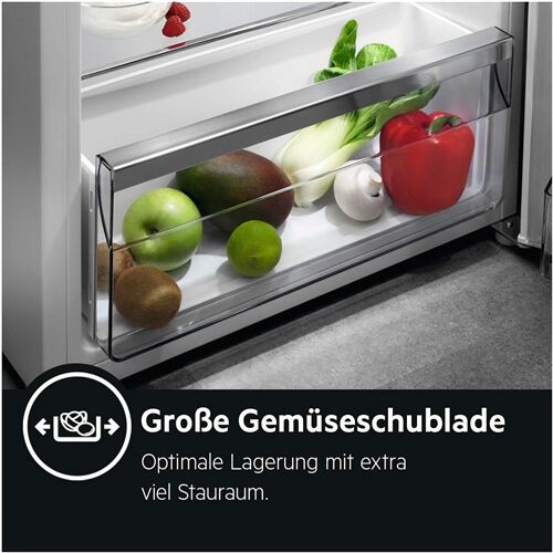 AEG Santo RDB424E1AW