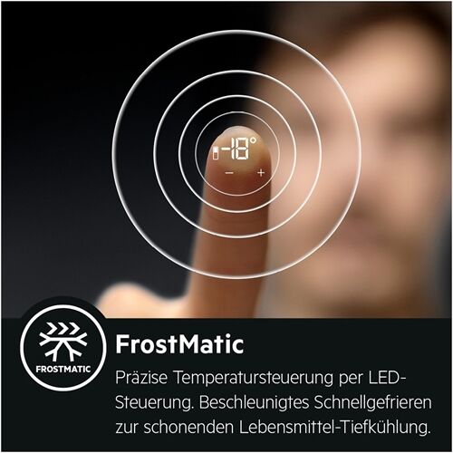 AEG Santo RDB424E1AW