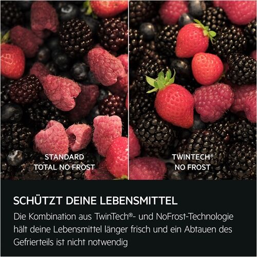 AEG Santo TSC9V183CC