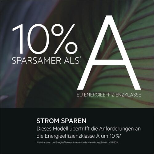 AEG Lavamat LR7G60487 B-Ware