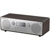Panasonic RF-D100BTEGT