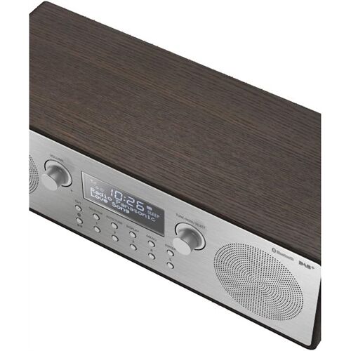 Panasonic RF-D100BTEGT