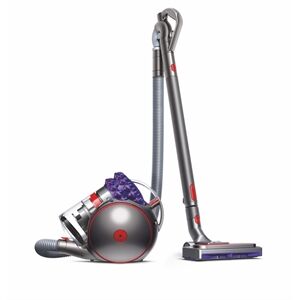 Dyson Big Ball Parquet 2