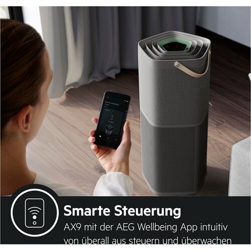 AEG AX91-604GY