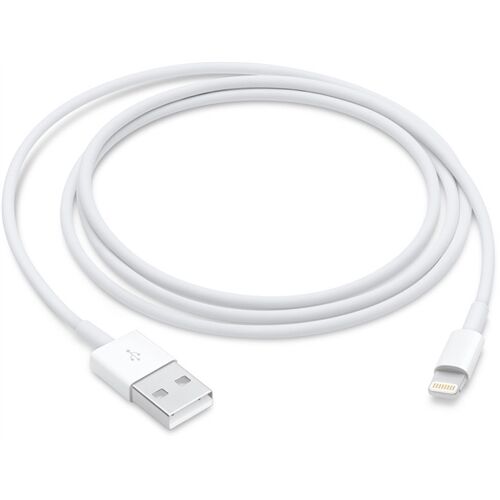 Apple Lightning auf USB Kabel (1m)