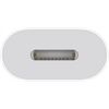 Apple USB-C auf Lightning Adapter MUQX3ZM/A