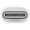 Apple USB-C auf Lightning Adapter MUQX3ZM/A