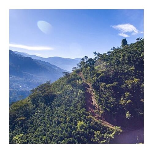 DeLonghi EN 267.BAE Nespresso CitiZ & Milk